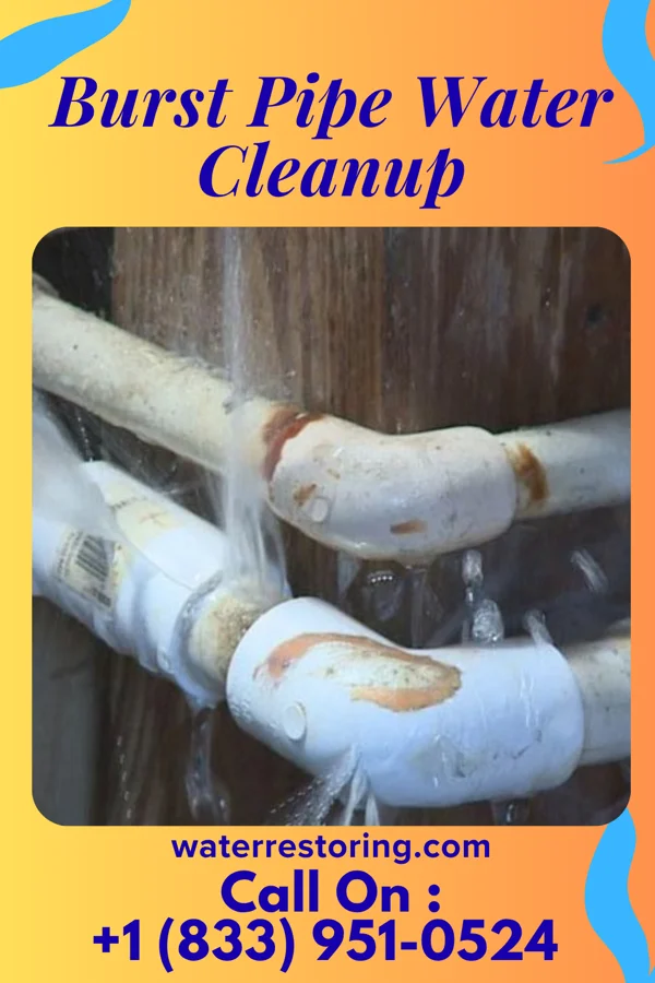 Burst Pipe Water Cleanup in Culver, KS
